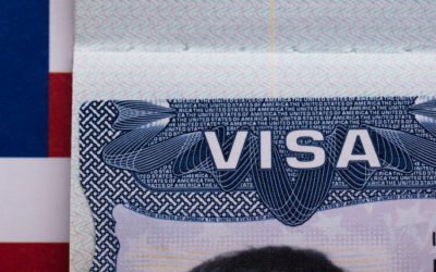 WHAT IS THE H1B VISA?